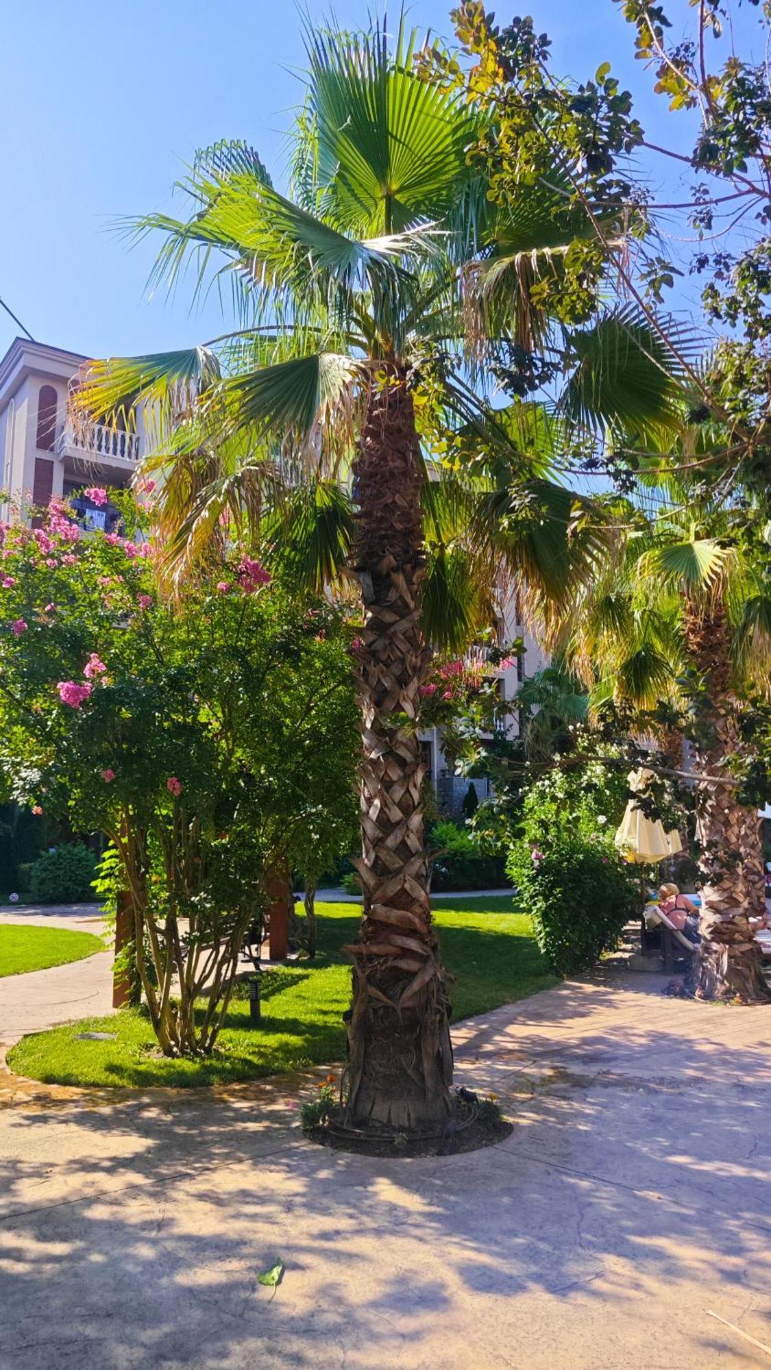 Attractive Family Apartment In Sunny Beach Cascadas Family Resort ภายนอก รูปภาพ